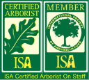 ISA-Member-Arborist-2