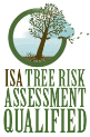 ISA+risk+logo